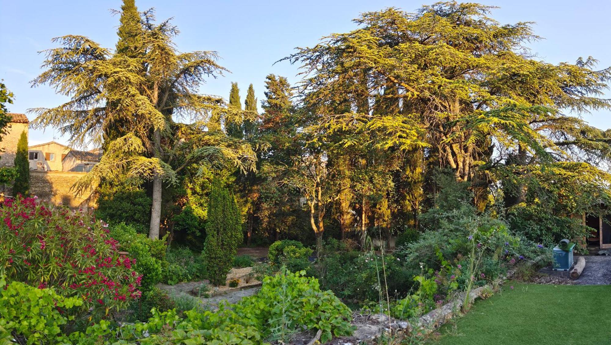 Rue Du Chateau A Cabrieres D'Avignon B&B 외부 사진