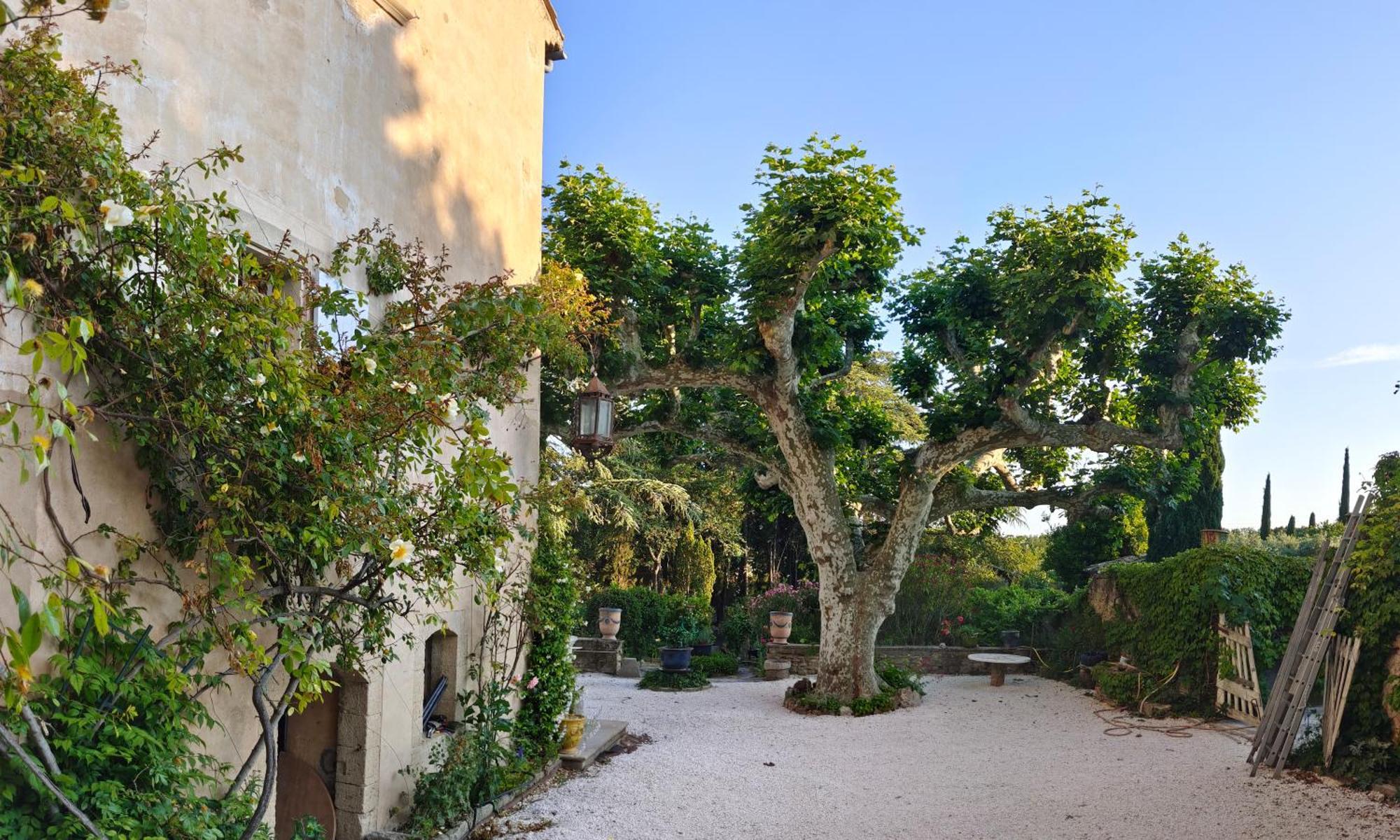 Rue Du Chateau A Cabrieres D'Avignon B&B 외부 사진